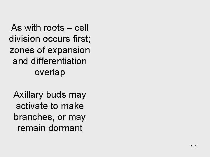 As with roots – cell division occurs first; zones of expansion and differentiation overlap As with roots – cell division occurs first; zones of expansion and differentiation overlap