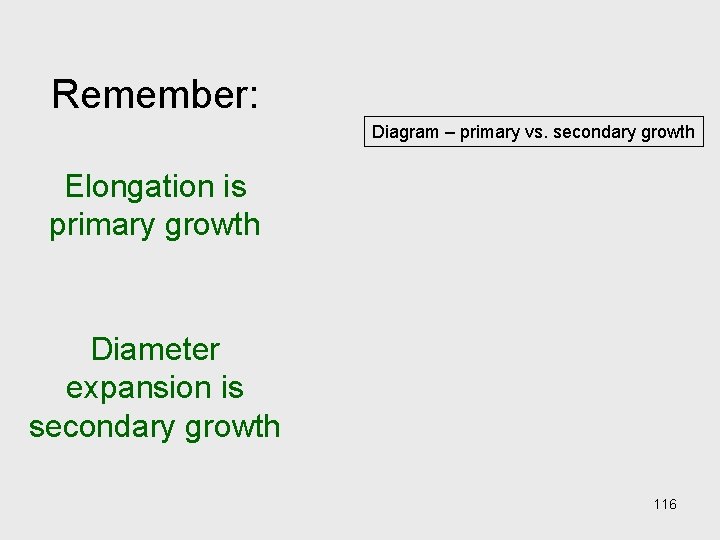Remember: Diagram – primary vs. secondary growth Elongation is primary growth Diameter expansion is Remember: Diagram – primary vs. secondary growth Elongation is primary growth Diameter expansion is