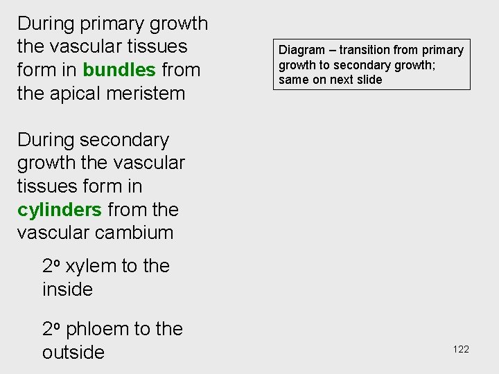 During primary growth the vascular tissues form in bundles from the apical meristem Diagram During primary growth the vascular tissues form in bundles from the apical meristem Diagram