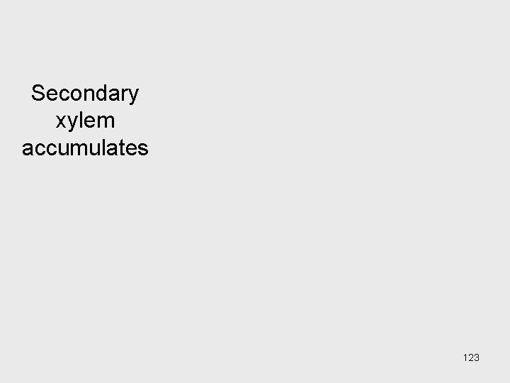 Secondary xylem accumulates 123 Secondary xylem accumulates 123