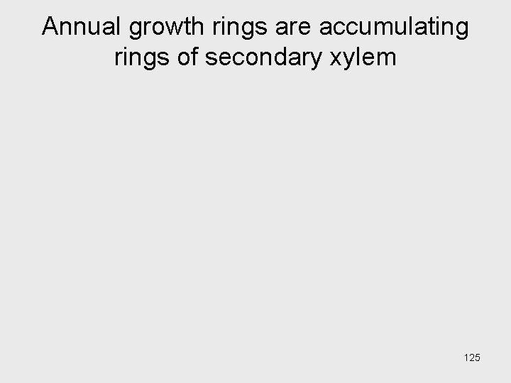 Annual growth rings are accumulating rings of secondary xylem 125 Annual growth rings are accumulating rings of secondary xylem 125