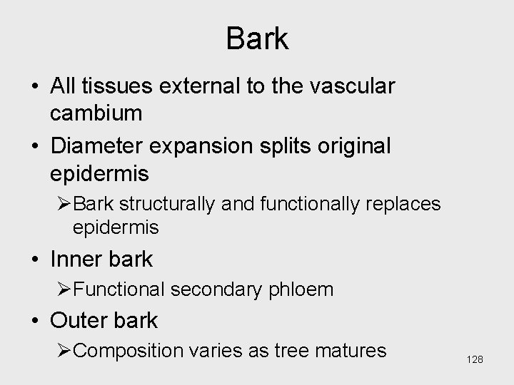 Bark • All tissues external to the vascular cambium • Diameter expansion splits original Bark • All tissues external to the vascular cambium • Diameter expansion splits original