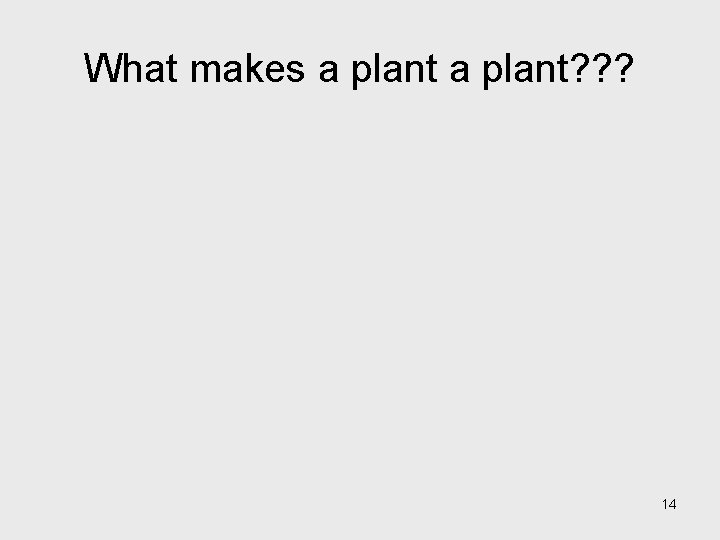 What makes a plant? ? ? 14 What makes a plant? ? ? 14