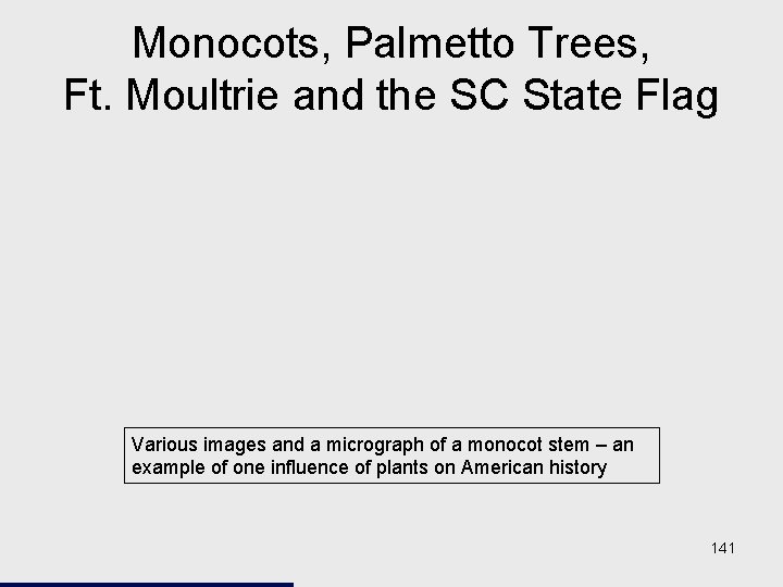 Monocots, Palmetto Trees, Ft. Moultrie and the SC State Flag Various images and a Monocots, Palmetto Trees, Ft. Moultrie and the SC State Flag Various images and a