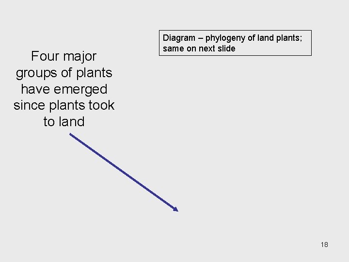 Four major groups of plants have emerged since plants took to land Diagram – Four major groups of plants have emerged since plants took to land Diagram –