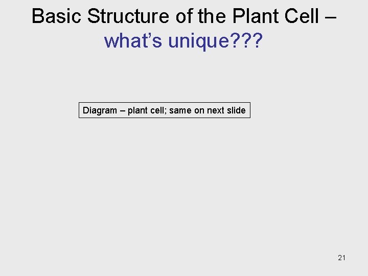 Basic Structure of the Plant Cell – what’s unique? ? ? Diagram – plant Basic Structure of the Plant Cell – what’s unique? ? ? Diagram – plant