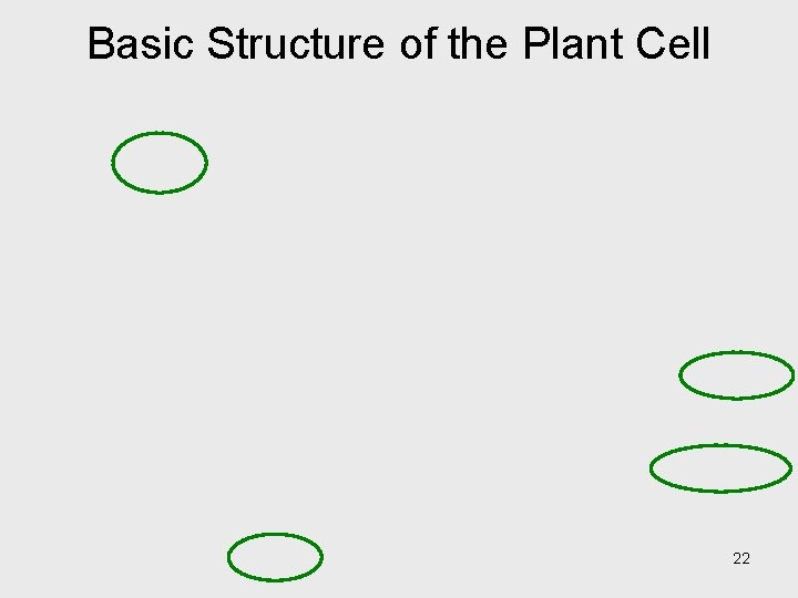Basic Structure of the Plant Cell 22 Basic Structure of the Plant Cell 22