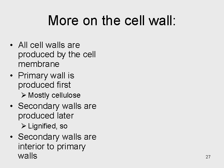 More on the cell wall: • All cell walls are produced by the cell More on the cell wall: • All cell walls are produced by the cell