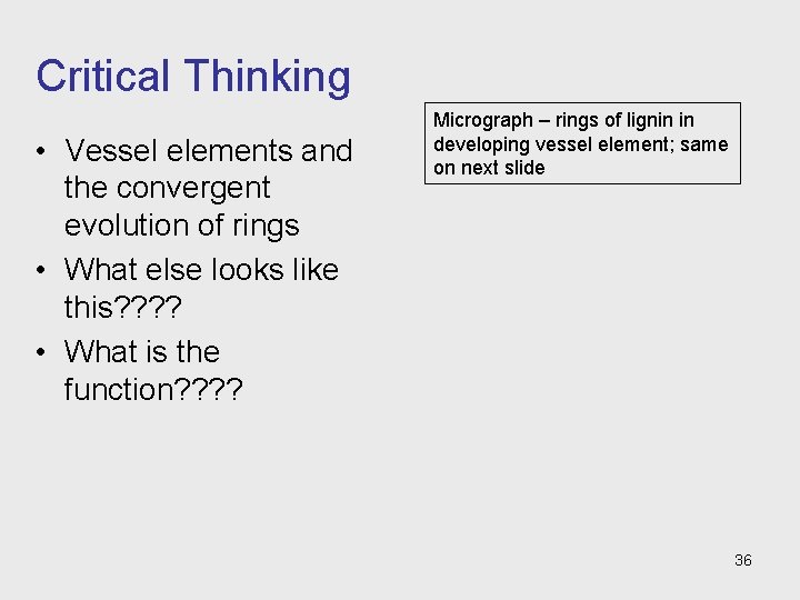 Critical Thinking • Vessel elements and the convergent evolution of rings • What else Critical Thinking • Vessel elements and the convergent evolution of rings • What else