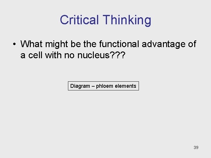 Critical Thinking • What might be the functional advantage of a cell with no Critical Thinking • What might be the functional advantage of a cell with no