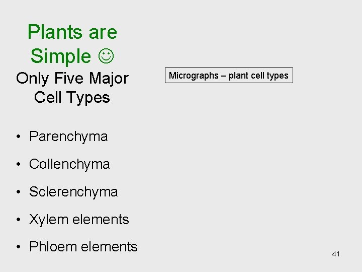 Plants are Simple Only Five Major Cell Types Micrographs – plant cell types • Plants are Simple Only Five Major Cell Types Micrographs – plant cell types •