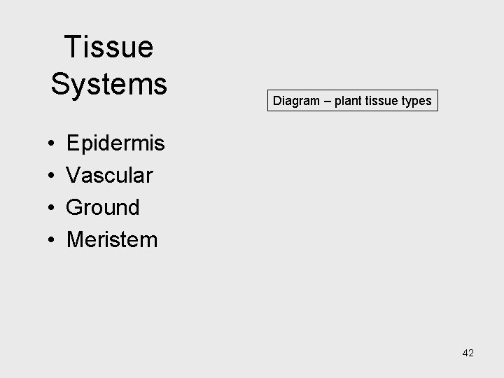 Tissue Systems • • Diagram – plant tissue types Epidermis Vascular Ground Meristem 42 Tissue Systems • • Diagram – plant tissue types Epidermis Vascular Ground Meristem 42