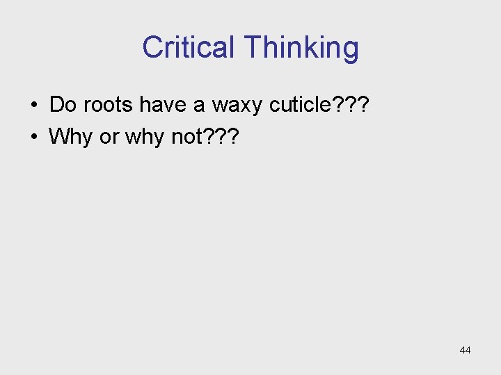 Critical Thinking • Do roots have a waxy cuticle? ? ? • Why or Critical Thinking • Do roots have a waxy cuticle? ? ? • Why or