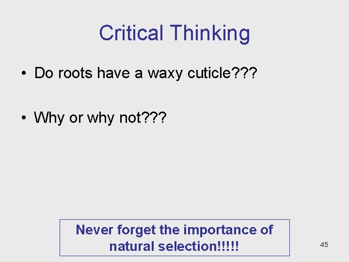 Critical Thinking • Do roots have a waxy cuticle? ? ? • Why or Critical Thinking • Do roots have a waxy cuticle? ? ? • Why or
