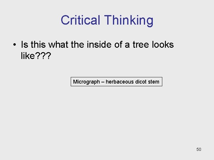 Critical Thinking • Is this what the inside of a tree looks like? ? Critical Thinking • Is this what the inside of a tree looks like? ?