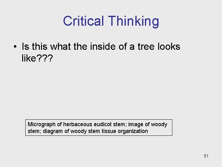 Critical Thinking • Is this what the inside of a tree looks like? ? Critical Thinking • Is this what the inside of a tree looks like? ?