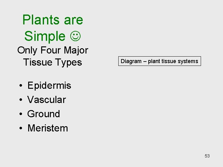 Plants are Simple Only Four Major Tissue Types • • Diagram – plant tissue Plants are Simple Only Four Major Tissue Types • • Diagram – plant tissue