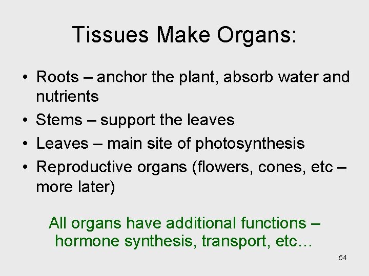 Tissues Make Organs: • Roots – anchor the plant, absorb water and nutrients • Tissues Make Organs: • Roots – anchor the plant, absorb water and nutrients •