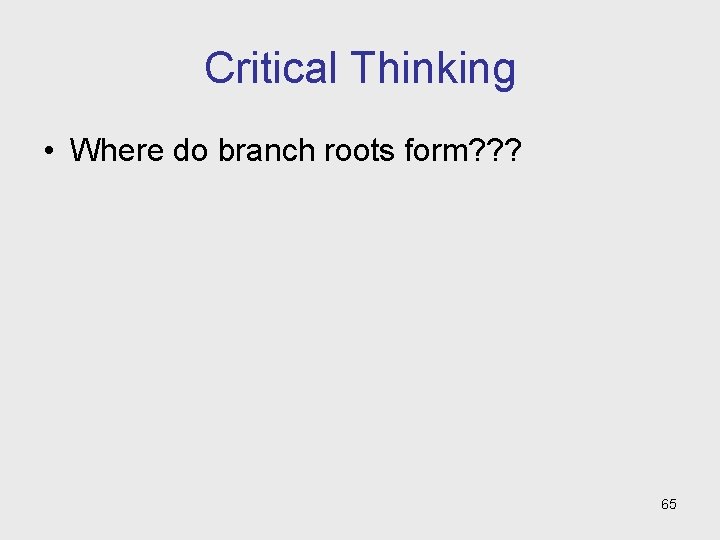 Critical Thinking • Where do branch roots form? ? ? 65 Critical Thinking • Where do branch roots form? ? ? 65