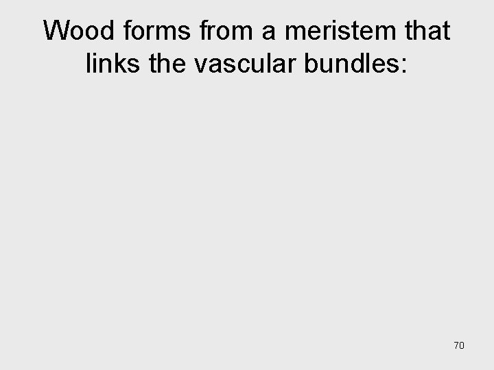 Wood forms from a meristem that links the vascular bundles: 70 Wood forms from a meristem that links the vascular bundles: 70
