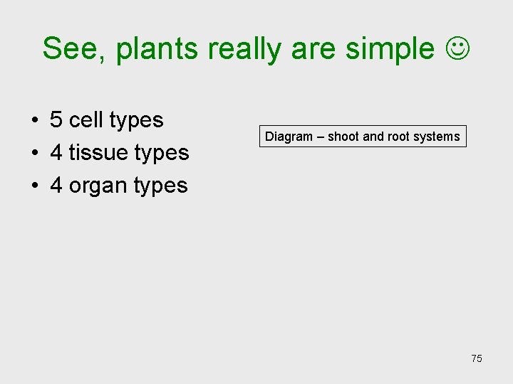 See, plants really are simple • 5 cell types • 4 tissue types • See, plants really are simple • 5 cell types • 4 tissue types •