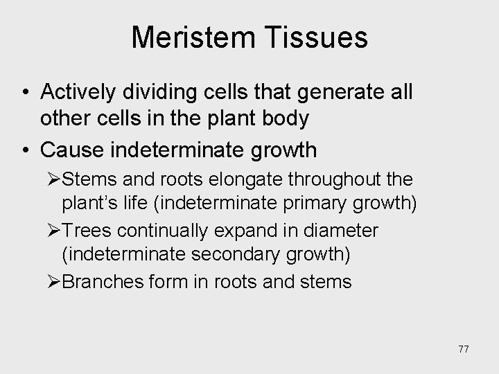 Meristem Tissues • Actively dividing cells that generate all other cells in the plant Meristem Tissues • Actively dividing cells that generate all other cells in the plant
