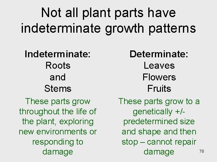 Not all plant parts have indeterminate growth patterns Indeterminate: Roots and Stems Determinate: Leaves Not all plant parts have indeterminate growth patterns Indeterminate: Roots and Stems Determinate: Leaves