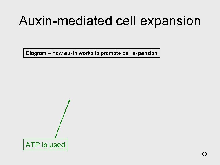 Auxin-mediated cell expansion Diagram – how auxin works to promote cell expansion ATP is Auxin-mediated cell expansion Diagram – how auxin works to promote cell expansion ATP is