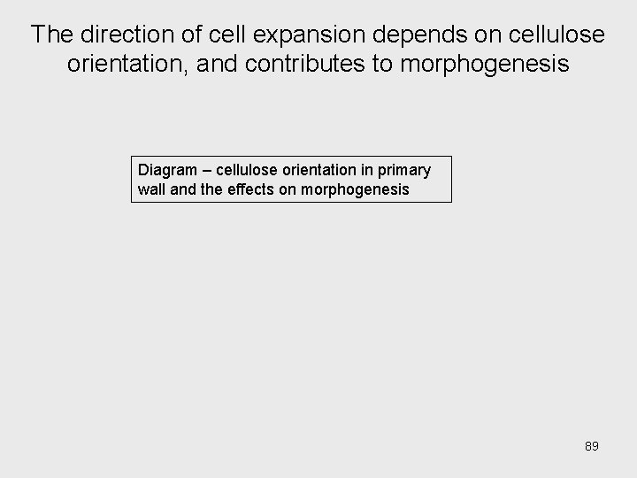 The direction of cell expansion depends on cellulose orientation, and contributes to morphogenesis Diagram The direction of cell expansion depends on cellulose orientation, and contributes to morphogenesis Diagram