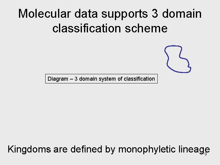 Molecular data supports 3 domain classification scheme Diagram – 3 domain system of classification Molecular data supports 3 domain classification scheme Diagram – 3 domain system of classification