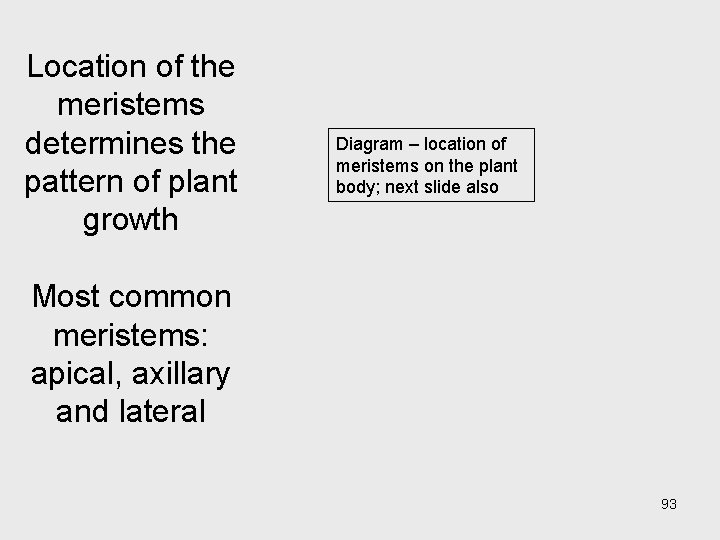 Location of the meristems determines the pattern of plant growth Diagram – location of Location of the meristems determines the pattern of plant growth Diagram – location of