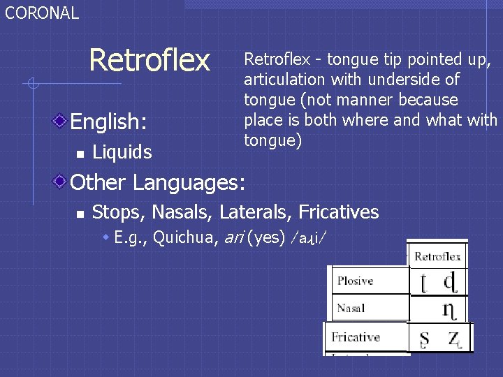 CORONAL Retroflex English: n Liquids Retroflex - tongue tip pointed up, articulation with underside CORONAL Retroflex English: n Liquids Retroflex - tongue tip pointed up, articulation with underside