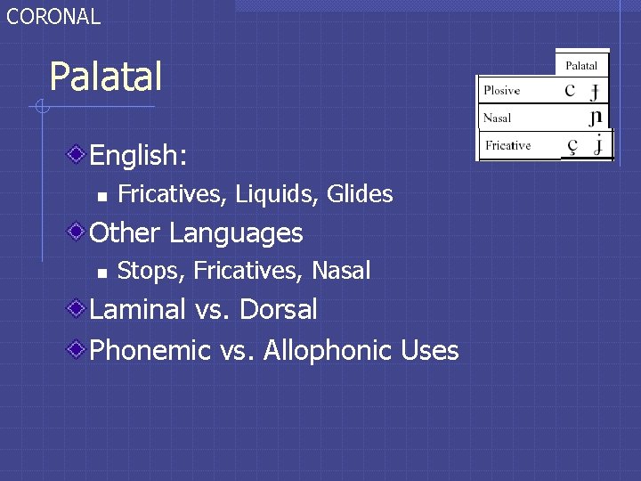 CORONAL Palatal English: n Fricatives, Liquids, Glides Other Languages n Stops, Fricatives, Nasal Laminal CORONAL Palatal English: n Fricatives, Liquids, Glides Other Languages n Stops, Fricatives, Nasal Laminal