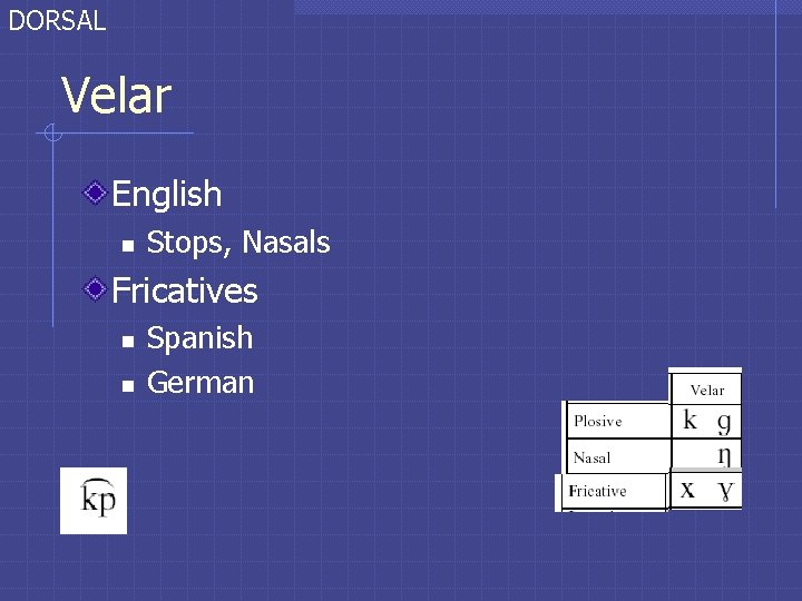 DORSAL Velar English n Stops, Nasals Fricatives n n Spanish German DORSAL Velar English n Stops, Nasals Fricatives n n Spanish German
