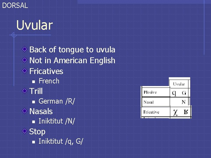 DORSAL Uvular Back of tongue to uvula Not in American English Fricatives n French DORSAL Uvular Back of tongue to uvula Not in American English Fricatives n French