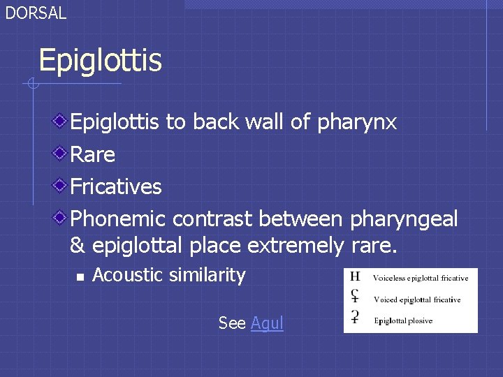 DORSAL Epiglottis to back wall of pharynx Rare Fricatives Phonemic contrast between pharyngeal & DORSAL Epiglottis to back wall of pharynx Rare Fricatives Phonemic contrast between pharyngeal &