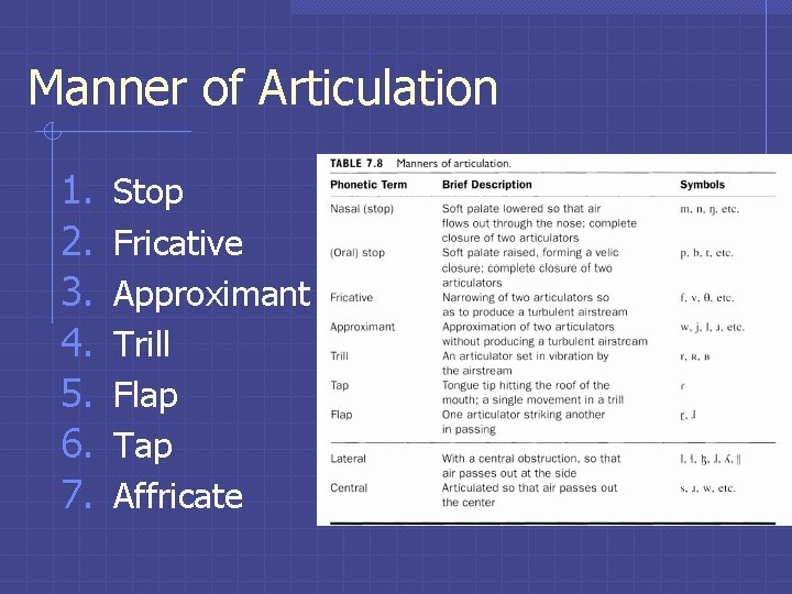 Manner of Articulation 1. 2. 3. 4. 5. 6. 7. Stop Fricative Approximant Trill Manner of Articulation 1. 2. 3. 4. 5. 6. 7. Stop Fricative Approximant Trill