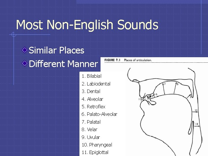 Most Non-English Sounds Similar Places Different Manner 1. Bilabial 2. Labiodental 3. Dental 4. Most Non-English Sounds Similar Places Different Manner 1. Bilabial 2. Labiodental 3. Dental 4.