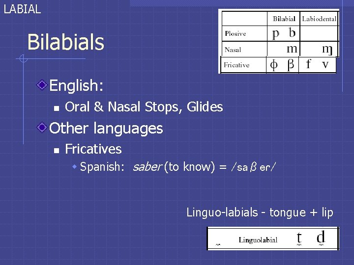 LABIAL Bilabials English: n Oral & Nasal Stops, Glides Other languages n Fricatives w LABIAL Bilabials English: n Oral & Nasal Stops, Glides Other languages n Fricatives w