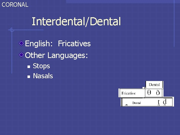 CORONAL Interdental/Dental English: Fricatives Other Languages: n n Stops Nasals CORONAL Interdental/Dental English: Fricatives Other Languages: n n Stops Nasals