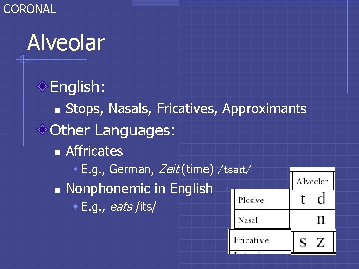 CORONAL Alveolar English: n Stops, Nasals, Fricatives, Approximants Other Languages: n Affricates w E. CORONAL Alveolar English: n Stops, Nasals, Fricatives, Approximants Other Languages: n Affricates w E.