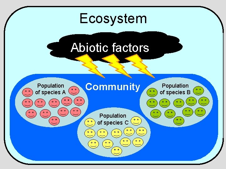 Ecosystem Abiotic factors Population of species A Community Population of species C Population of