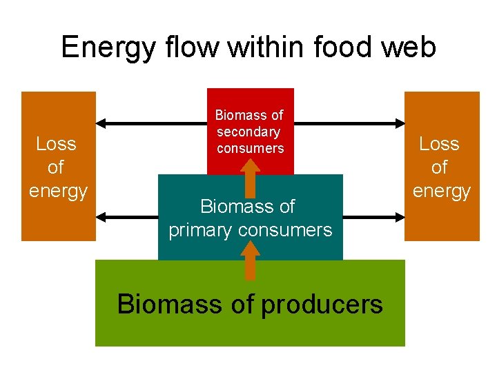 Energy flow within food web Loss of energy Biomass of secondary consumers Biomass of