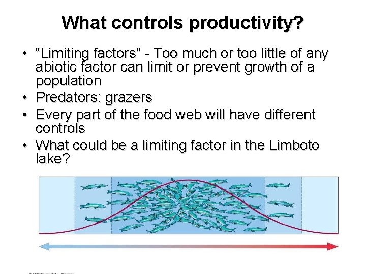 What controls productivity? • “Limiting factors” - Too much or too little of any
