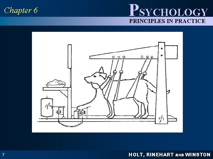Chapter 6 PSYCHOLOGY PRINCIPLES IN PRACTICE 7 HOLT, RINEHART AND WINSTON 
