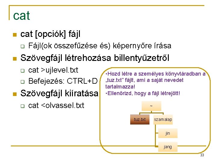cat n cat [opciók] fájl q n Szövegfájl létrehozása billentyűzetről q q n Fájl(ok