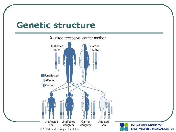 Genetic structure 