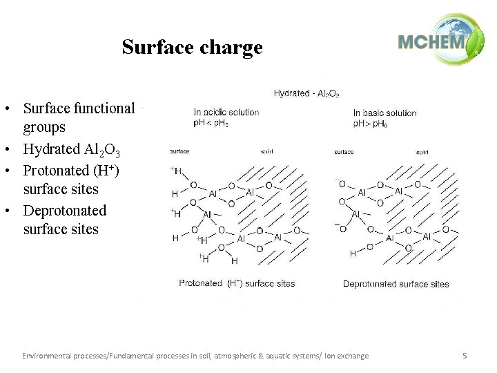 Surface charge • Surface functional groups • Hydrated Al 2 O 3 • Protonated