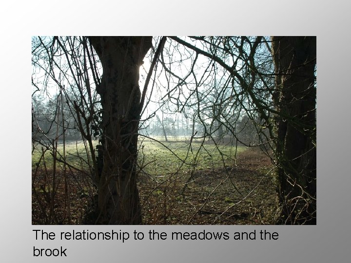 The relationship to the meadows and the brook 