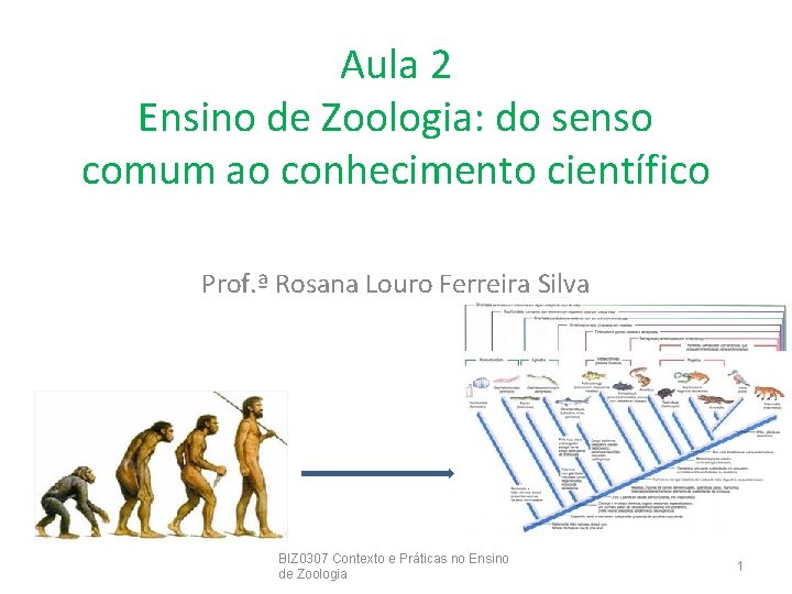 Aula 2 Ensino de Zoologia: do senso comum ao conhecimento científico Prof. ª Rosana